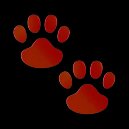 PET